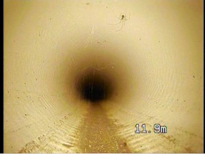 Tomlinson Plumbing - CCTV drain inspections - Geelong, Torquay, Anglesea, Barwon Heads, Ocean Grove, Point Cook, Werribee, Williamstown, Altona